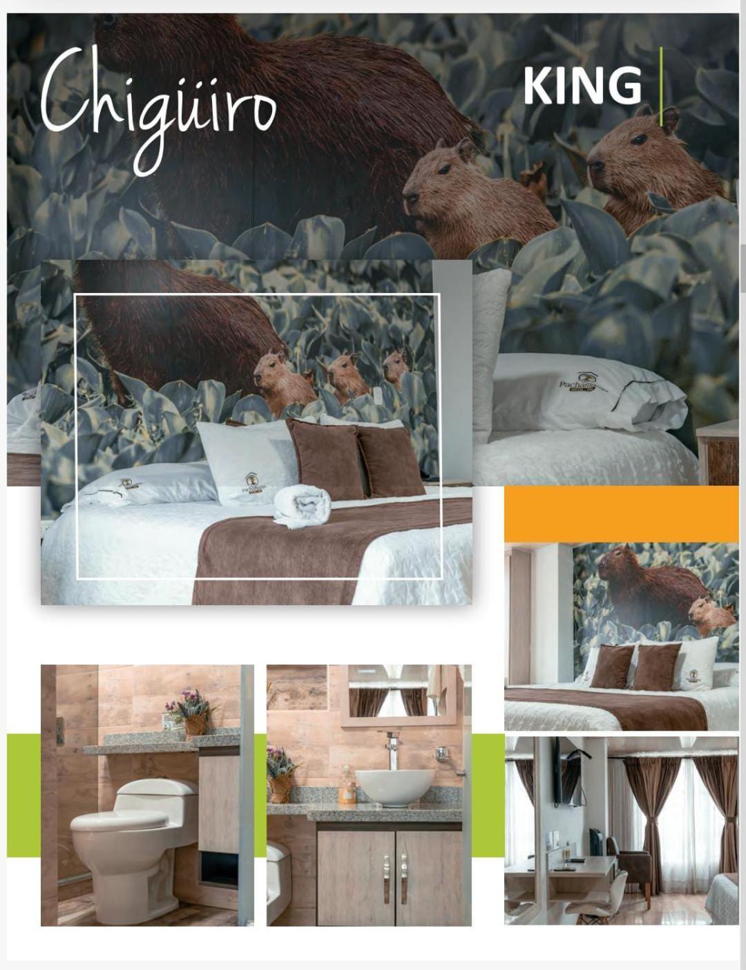 Hotel Pachamama Spa Dosquebradas Εξωτερικό φωτογραφία